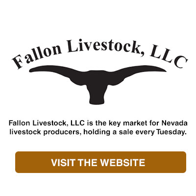 Fallon Livestock in Nevada
