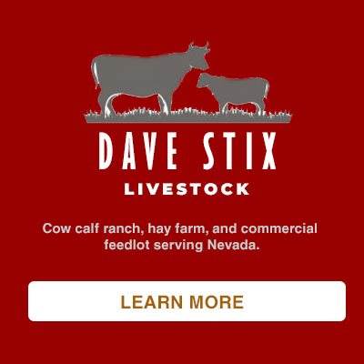 Dave Stix Cow Calf Ranch and Feedlot